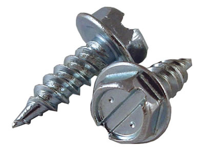 One picture of two slotted hex head screws shown to us.